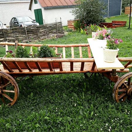 Belye rozy Hotel Nieśwież Zewnętrze zdjęcie